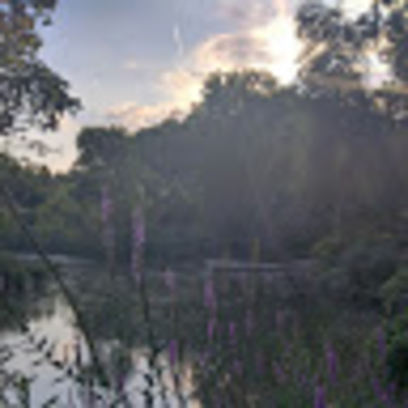 Meet your Posher, Collin - Picture 1 of 1